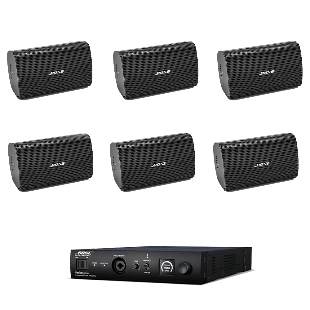 Sistem sonorizare cafenea Bose Profesional Veritas 250BL-FS2SE negru, Bluetooth