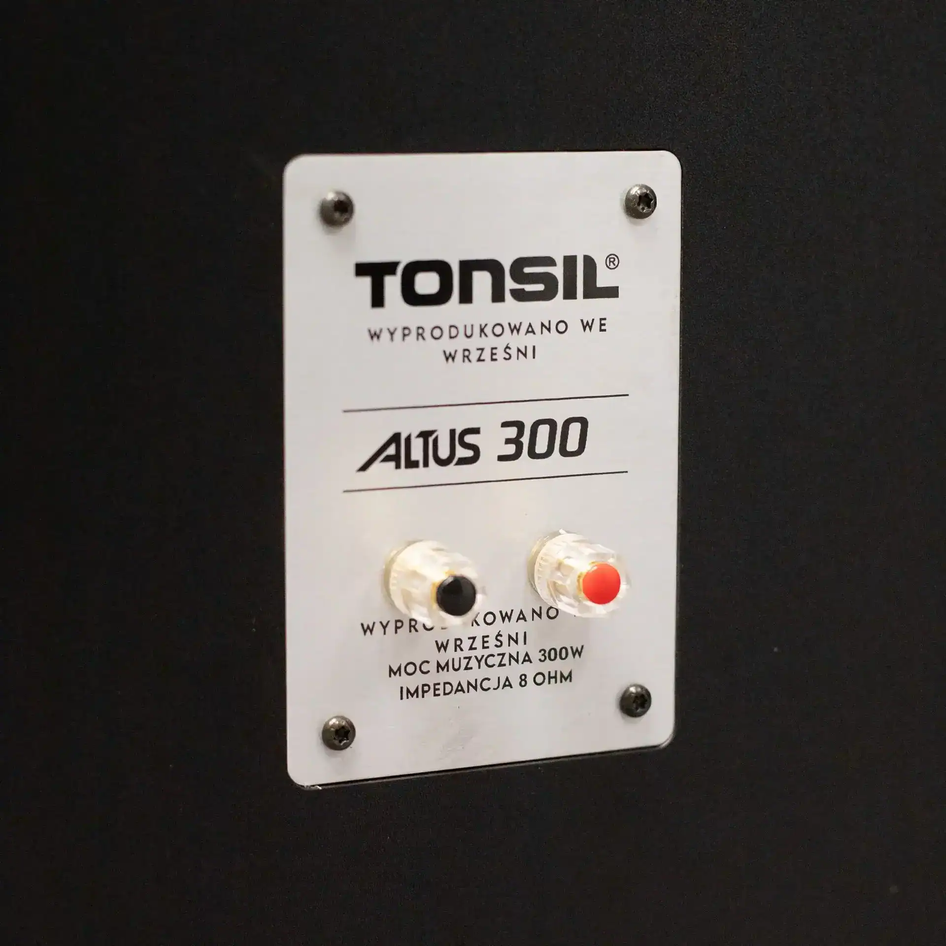 Tonsil Altus 300 New_07, vedere spate