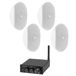 Sistem audio ambiental DAP WMS4-W
